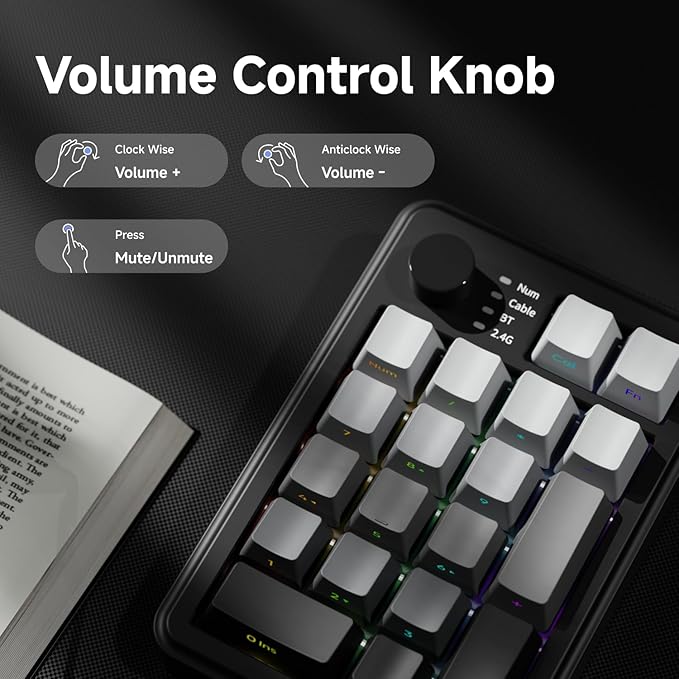 EWEADN NK20 Wireless Retro Mechanical Numpad with Knob, Bluetooth/2.4GHz/USB-C Connect with RGB Backlight Hot Swappable Number Pad, 20-Key Rechargeable External Num Pad for Win, Mac, Black Gray