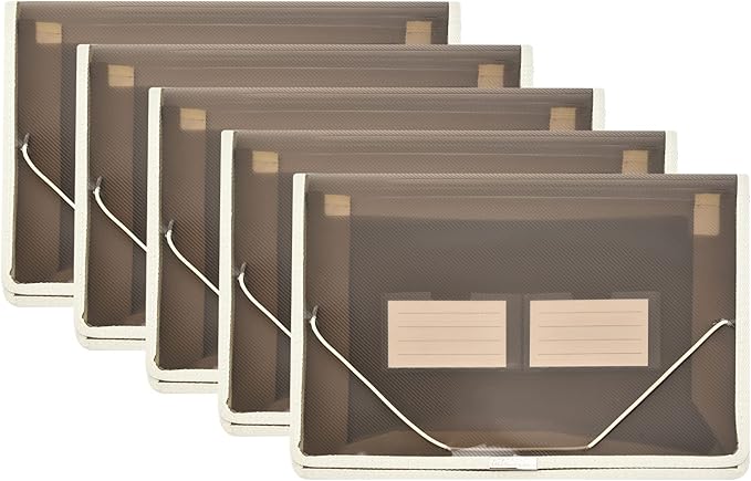 Expanding File Folder Document Organizer r with Flap and Cord Closure, Waterproof Transparent Document Bag, 2.8" Expansion, Letter A4 Expandable File Folder for Home School Office Organization，5 Pack