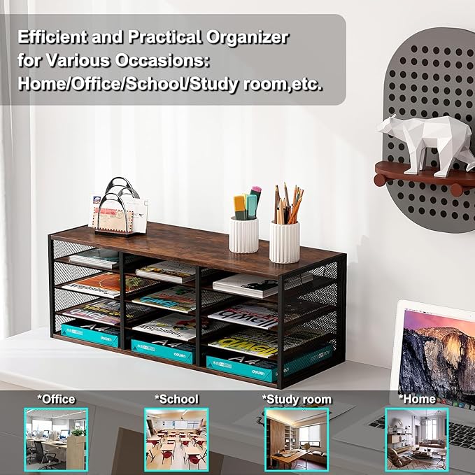 Mail Sorter Adjustable Holder, Countertop Literature Organizer, Student Mailbox for Classroom, Desktop Bill Paper Organizer for Office Home School, 12 Compartments, Brown