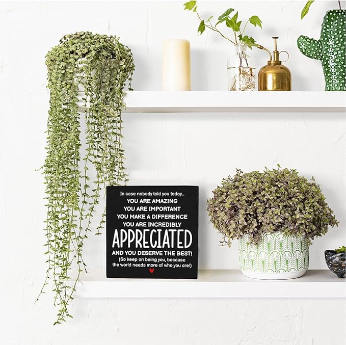 HTBIG Inspirational Gifts for Men Women Friends, Coworker Office Decor Appreciation Gifts, You Are Amazing Appreciated Motivational Desk Sign Decor Home Office Desk