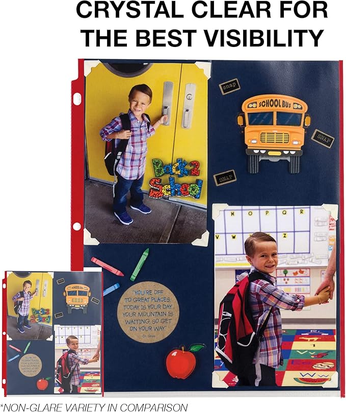 Samsill Color Edge Sheet Protectors 8.5 x 11 Inch, Page Protectors for 3 Ring Binder, Standard Weight, Clear Sheet Protector, Letter Size, Top Loading, Acid Free, 100 Pack