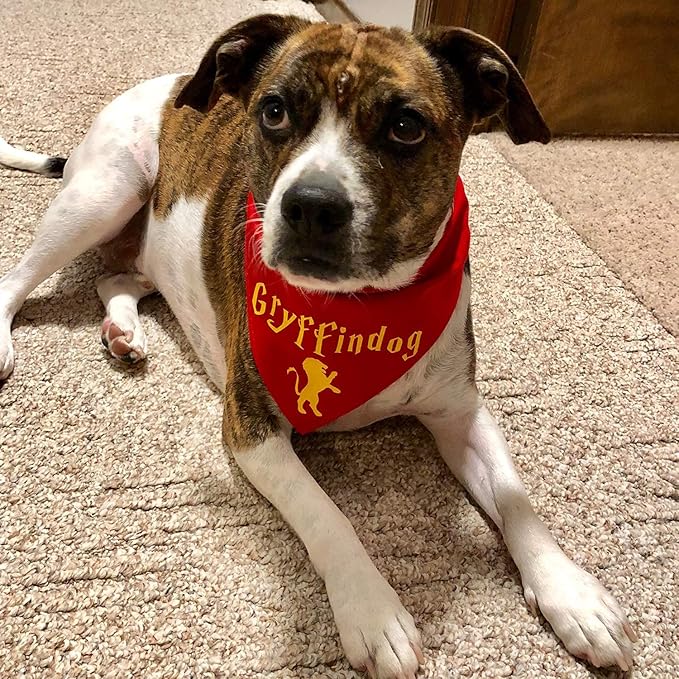 VINYL FROG Heat Transfer Vinyl Roll HTV Vinyl - 12" x5ft Yellow Iron on Vinyl for T-Shirts, Heat Press Vinyl for DIY Craft Designs (Yellow)