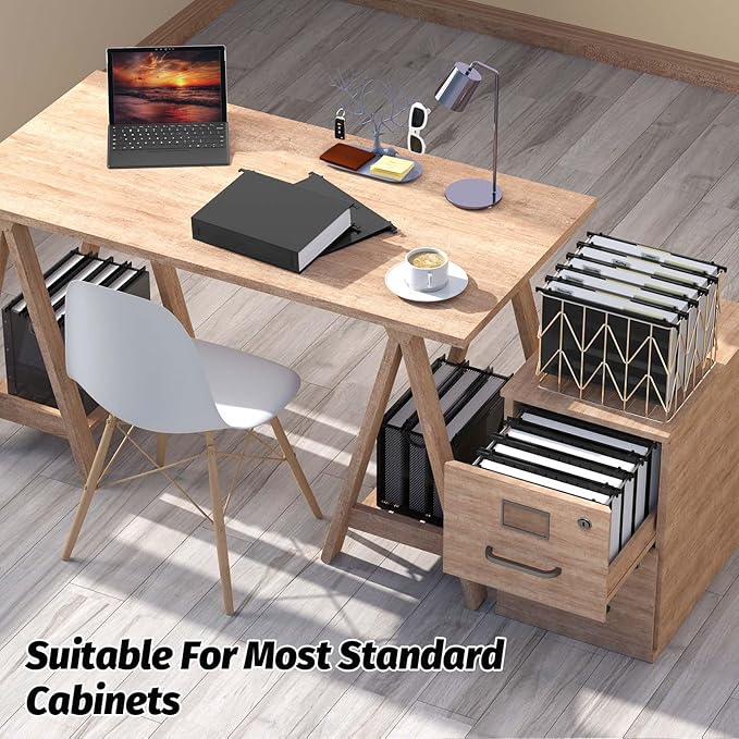 Extra Capacity Plastic Hanging File Folders,12 Pack Reinforced Hang Folders,Heavy Duty 2 Inch Expansion,Plastic Filing Cabinet Folders,Letter Size,Designed for Bulk Files, Medical Charts,Black