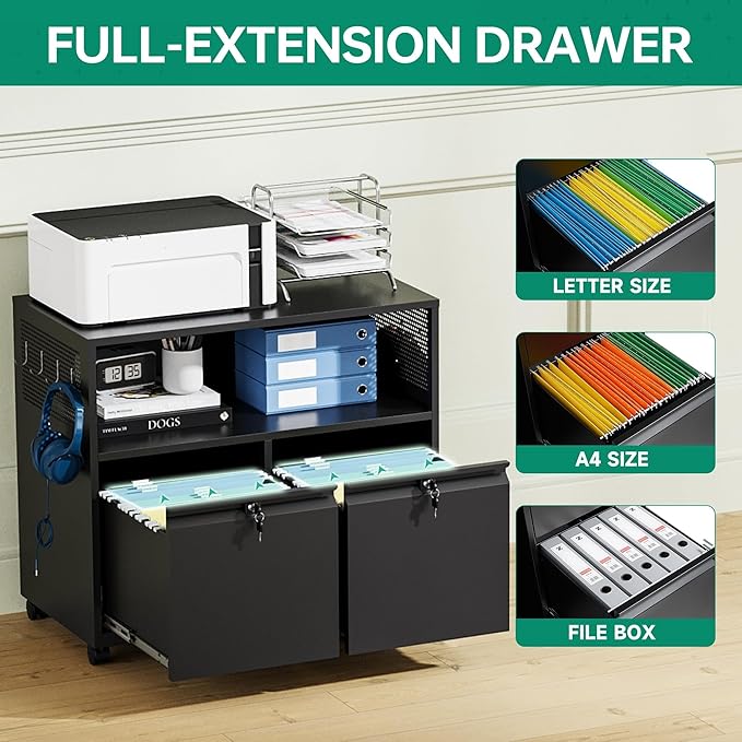 Letaya Mobile 2 Drawer File Cabinet with Lock, Metal Lateral Printer Stand Filing Storage Cabinets with Shelves for Home Office-A4/F4/Letter (Black)