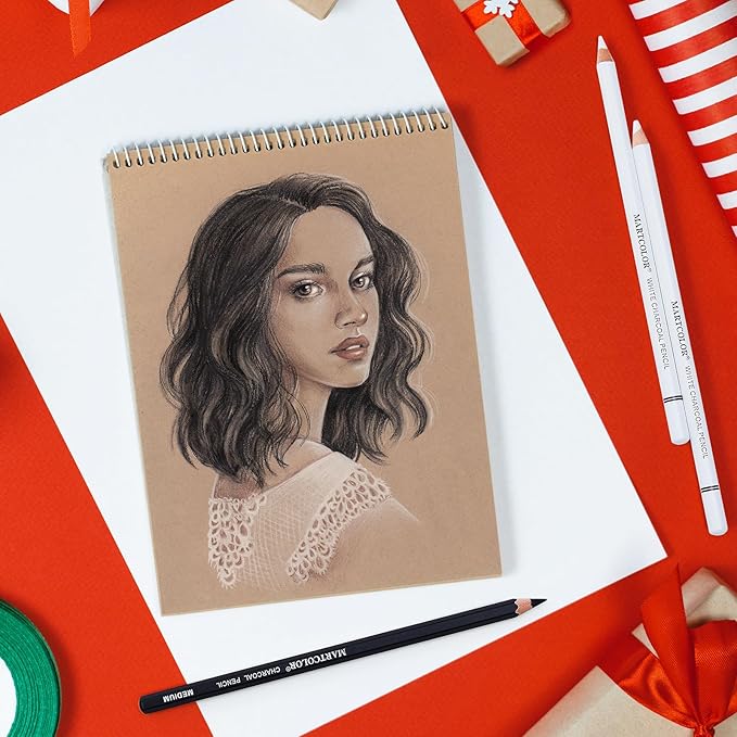 Professional White Charcoal Pencils Set, 10 Pieces Sketch Highlight Charcoal Pencils for Drawing, Sketching, Shading, Blending, White Chalk Pencils for Beginners & Artists