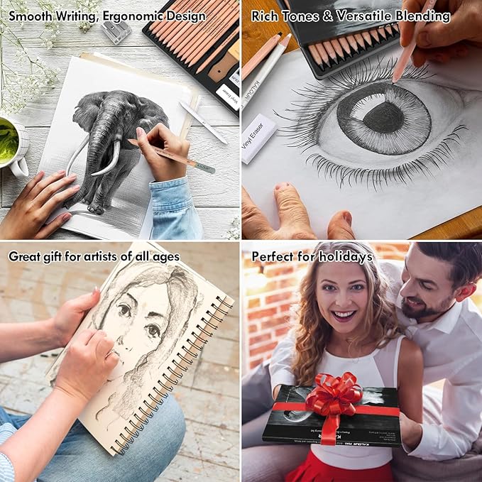 39pcs Drawing Pencil Set, Professional Sketch Pencils (5H-14B), Black and White Charcoal Pencils for Sketching, Eraser Brush Pen, Charcoal Sticks, Art Pencils Set for Artists & Beginners