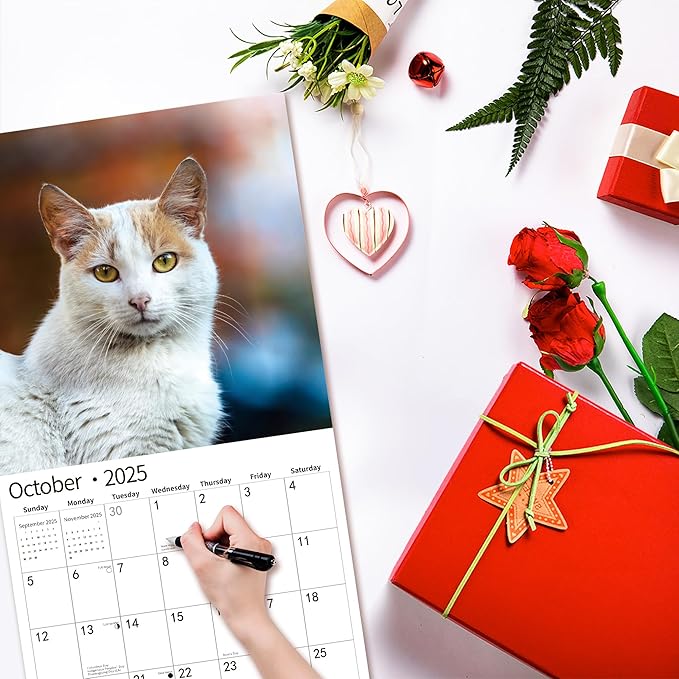 2025 Wall Calendar,Funny Calendar 2025, January 2025 - December 2025, Wall Calendar Funny Animal Memes, 12" x 24" Opened, Full Page 12 Months Thick Paper for Gift Calendar Organizing Planning