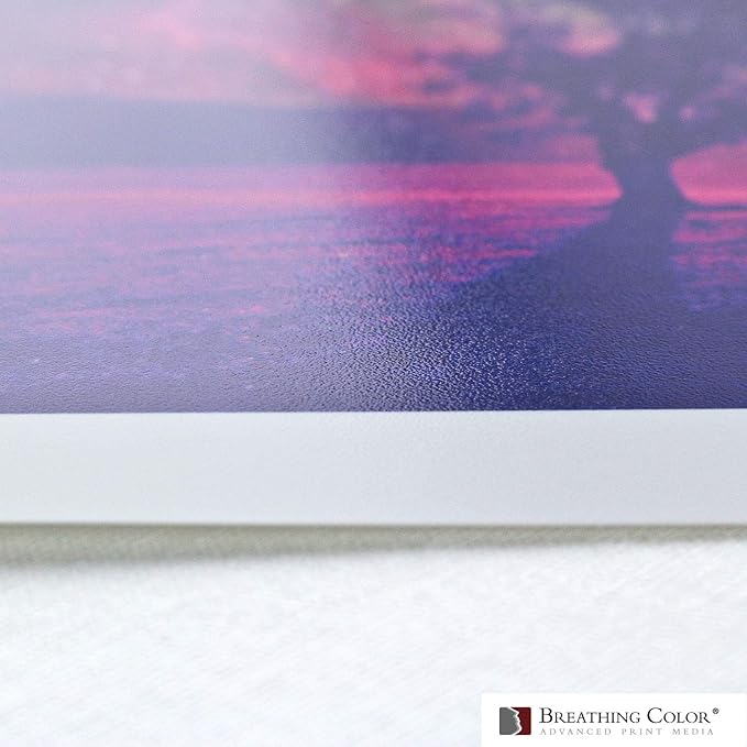 Vibrance Luster Photo Printer Paper 10 mil 255 gsm Luster Finish Premium Photo Paper Sheets 17 inches x 22 inches 50 sheets Works with All Inkjet Printers Including Professional Makes and Models