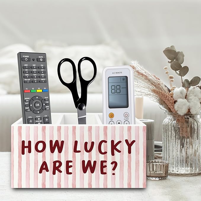 Pink Inspirational Pen Pencil Holder Organizer for Desk, Thank You Gifts for Women, Pink Striped How Lucky Are We Motivational Wooden Box Sign for Home Office Desk Tabletop Decorations