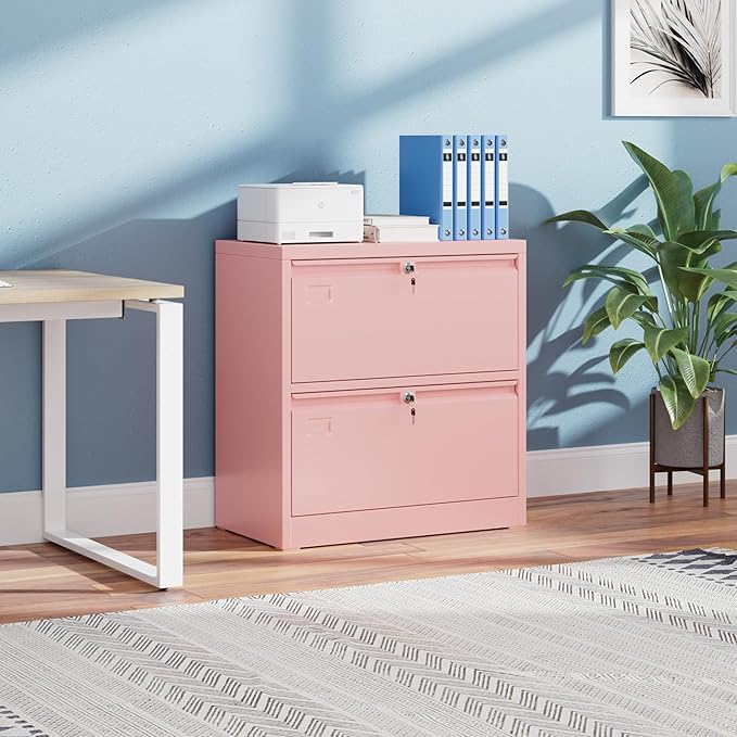 Metal Lateral File Cabinet, 30.24" H Lockable Files Cabinet, Ins Design Office Cabinet with 2 Drawers, Assembly Required
