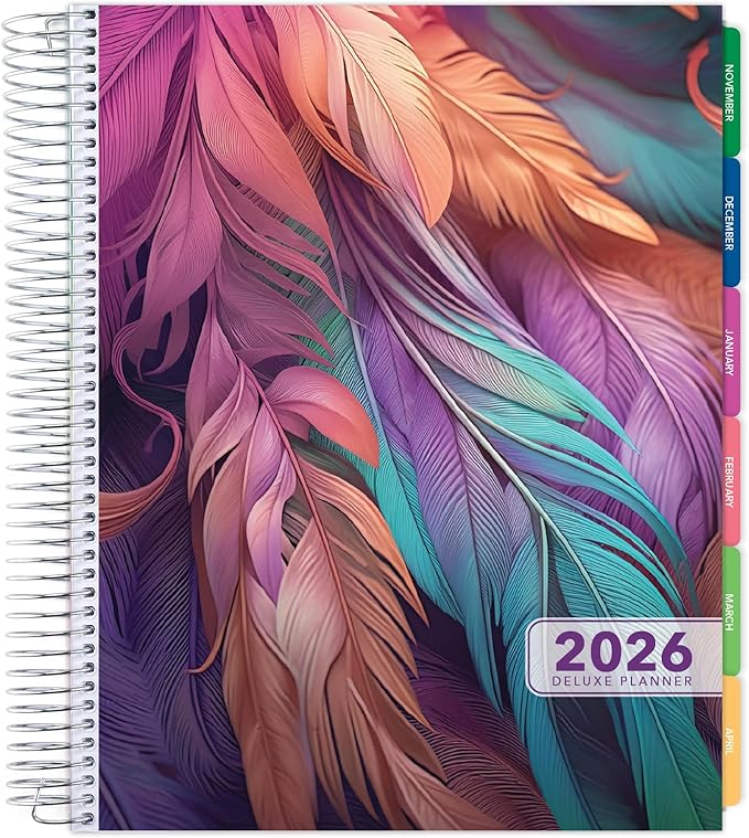 DELUXE 2026 Planner, 8.5"x11": 14 Months (November 2025 - December 2026), Includes Page Tabs, Bookmark, Planning Stickers, Pocket Folder Daily Weekly Monthly Planner Yearly Agenda (Pastel Peacock)