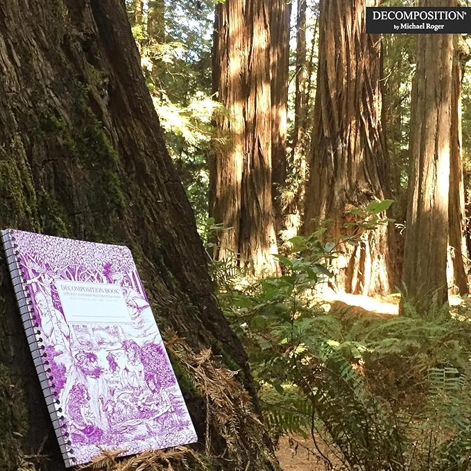 Decomposition Fairy Tale Forest College Ruled Spiral Notebook - 9.75 x 7.5 Journal with 160 Lined Pages - 100% Recycled Paper - Cute Notebooks for School Supplies, Home & Office - Made in USA