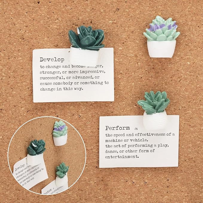 30Pcs Decorative Pushpins Succulent Plants Thumb Tacks for Wall Hangings,Cork Board