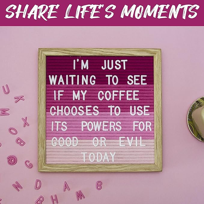 Felt Like Sharing Square Letter Board (Flamingo Felt - 10”x10”) – Changeable Message Board with 3 Sets of Felt Board Letters – Statement Wall Sign for Quotes, Home or Holiday Decor In Oak Frame