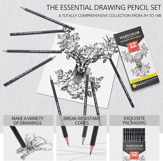 Drawing Sketching Pencils Set, 12 Pack Graphite Pencils(14B - 2H), Ideal for Drawing Art, Sketching, Shading, Artist Pencils for Beginners & Pro Artists