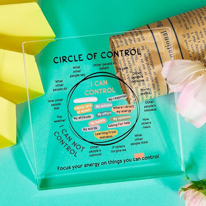 Mental Health Things I Can Control Decor - Therapy Office Acrylic Gifts - Psychology Art Decor for Treatment Room Office School Classroom - Art Decorations for Therapist Office Living Room Bedroom