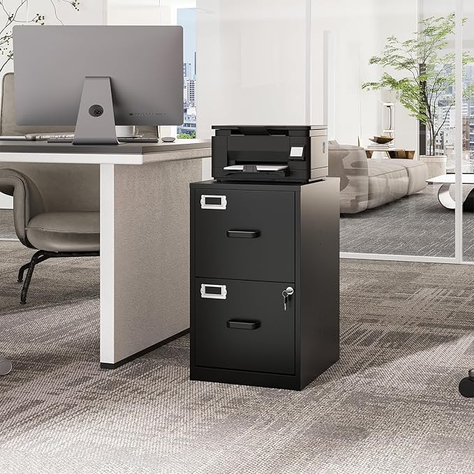 2 Drawers File Cabinet Metal Vertical Filing Cabinets Metal Lockable Storage Cabinets with Lock for Home Office to Hanging Files