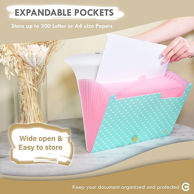 CNK File Folders Organizer with 13 Pockets Accordion Expanding Folder For Documents Receipt Document Paper Pocket Filing Products Accordian Important expandable holder files alphabetical Labels Letter