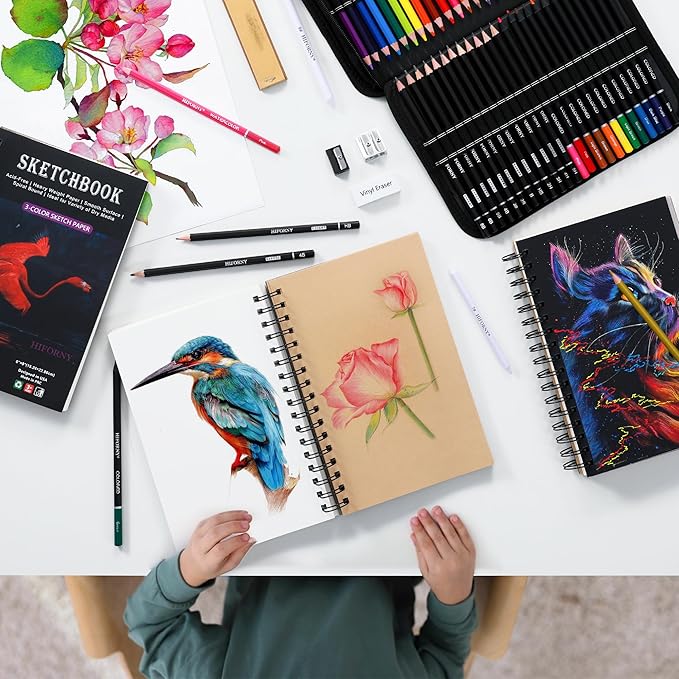 HIFORNY 176 PCS Art Supplies Drawing Set Sketching Kit with 100 Sheets 3-Color Sketchbook,Graphite Colored Charcoal Watercolor & Metallic Pencils,Blending Tools and More, for Beginner Artists