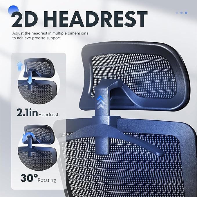 FLEXISPOT Ergonomic Office Chair, High Back Mesh Swivel Computer Chair, Executive Office Desk Chairs, with Adjustable Lumbar Support/2D Headrest/Lockable Backrest, OC3 Mesh Seat, Gray