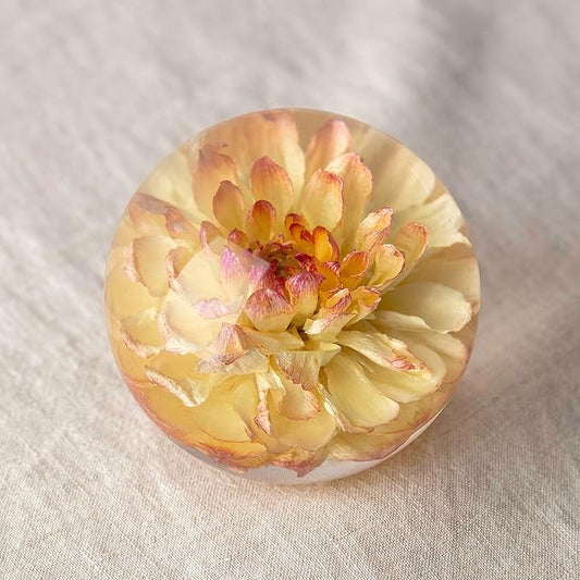 Real Yellow Dahlia Paperweight - Home Decor Crystal Resin Ball 3.14in (80mm) - Clear Resin Yellow Dahlia Flower Globe for Special Days - Sphere Figurine Office Paperweight w/Flat Bottom