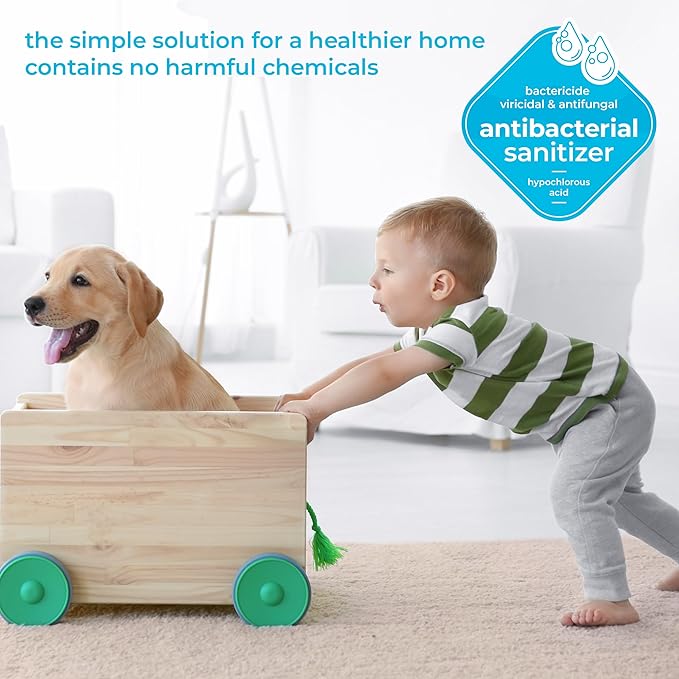 BRIOTECH Sanitizer Disinfectant Hypochlorous Spray, Kill 99.99% of Viruses & Bacteria, Control Mold, Eliminate Odor, Gentle for Nursery & Play Rooms, Food Contact Surface Sanitizer, 32 fl oz (12 Pack)