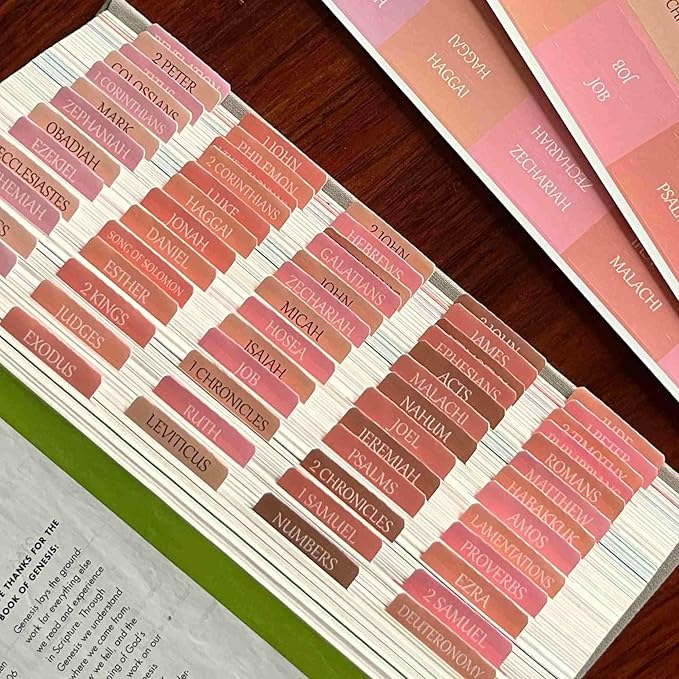 Thinkor Reposition Laminated Bible Tabs, Large Print Stickers, Easy to Read & Apply Bible Tabs for Women & Man (Spring Pink)