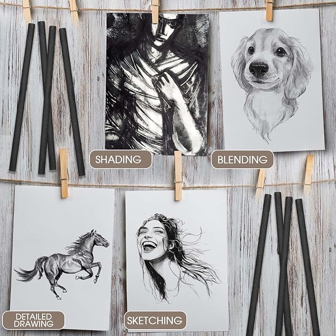 Gueevin 100 Pcs Willow Charcoal Sticks, Willow Charcoal, Artists, Beginners, Students, Perfect for Sketching, Drawing, Shading, and Fine Art (2-4mm,4-5mm,5-7mm,7-9mm)