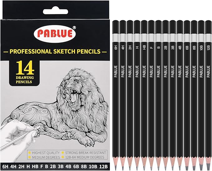 Professional Triangular Drawing Sketching Pencil Set,6H,4H,2H,H,HB,F,B,2B,3B,4B,6B,8B,10B,12B Graphite Shading Pencils for Beginners,ProArtists,Drawing,Drafting,Sketching,Shading(14 Pcs)