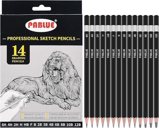 Professional Triangular Drawing Sketching Pencil Set,6H,4H,2H,H,HB,F,B,2B,3B,4B,6B,8B,10B,12B Graphite Shading Pencils for Beginners,ProArtists,Drawing,Drafting,Sketching,Shading(14 Pcs)