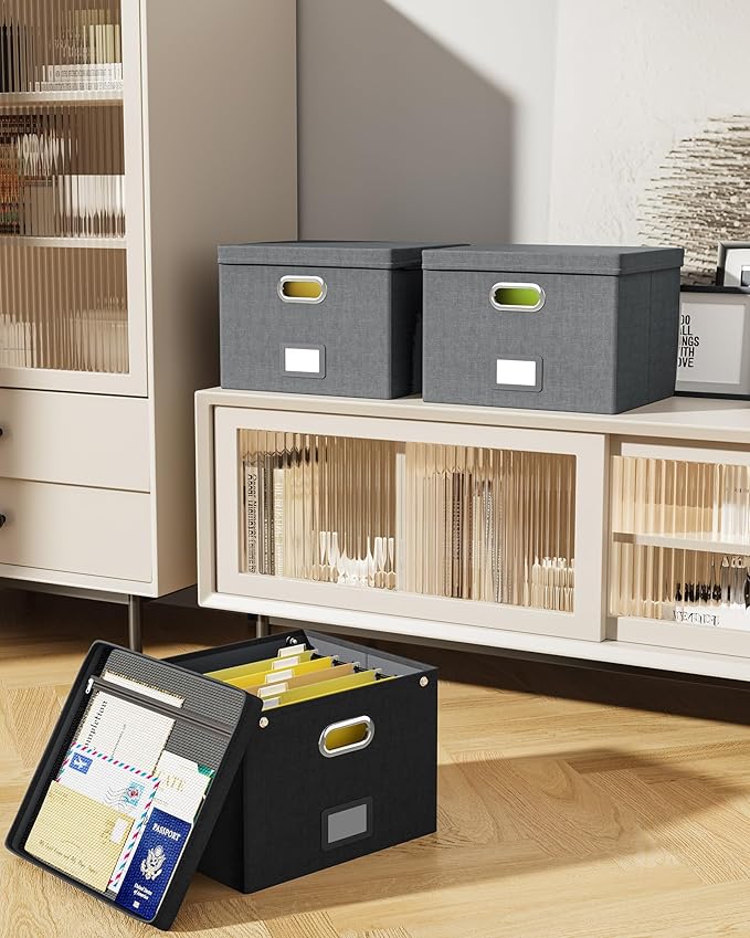 Oterri File Organizer Box with Lid,Large Hanging Filing Box with Mesh Pocket, Document c for Letter Files, Portable Storage Case with Smooth Sliding Rail for Office&Home (1 PCS, Black)