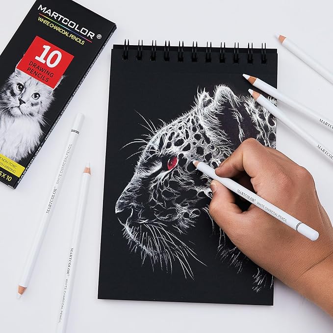 Professional White Charcoal Pencils Set, 10 Pieces Sketch Highlight Charcoal Pencils for Drawing, Sketching, Shading, Blending, White Chalk Pencils for Beginners & Artists