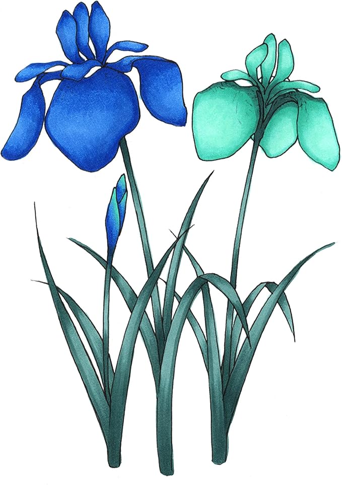 Copic Sketch Alcohol Markers, 6 Color Dual Tip Art Marker Set – Blendable Brush Tips for Drawing, Sketching, and Illustration – Professional Set for Adults/Teen Artists & Creators - Sea & Sky