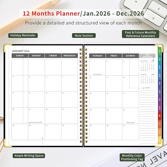 2026 Appointment Book/Planner - 2026 Daily Hourly Planner from Jan. 2026 - Dec. 2026, Weekly appointment Book 2026, 2026 Hourly planner with 20-Minute Interval, 9" x 11", Twin-Wire Binding, Colorful Tabs, Pocket - Black