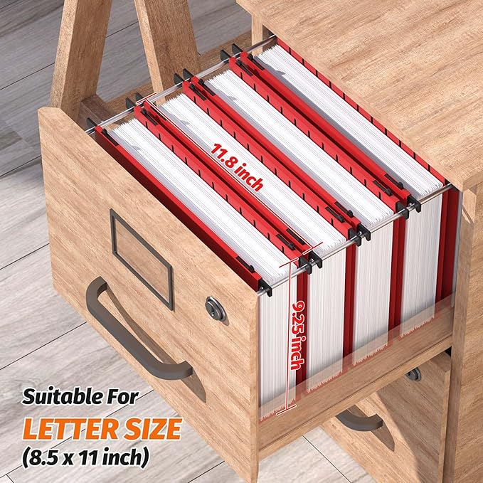 Extra Capacity Plastic Hanging File Folders,12 Pack Reinforced Hang Folders,Heavy Duty 2 Inch Expansion,Plastic Filing Cabinet Folders,Letter Size,for Bulk Files, Medical Charts,Red