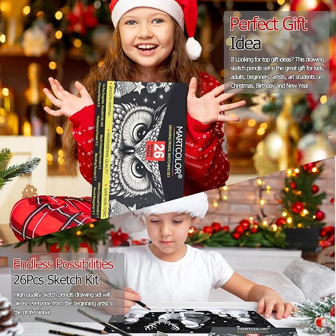 Drawing Sketching Pencil Set, 26 Pieces, Graphite Pencils (14B-4H), Charcoal Pencils, Charcoal Sticks, Blending Stump, Eraser, Sharpeners, Artist Pencils for Beginners & Pro Artists