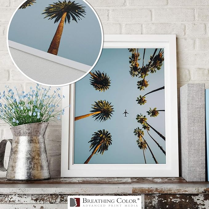 Vibrance Matte Photo Printer Paper 12 mil 230 gsm Matte Finish Premium Photo Paper Roll on 3in Core 17 inches x 10 ft Works with Most Inkjet Printer Professional Makes and Models Like Epson Canon HP