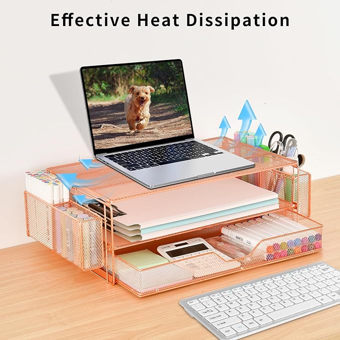 AUPSEN Computer Monitor Stands Riser，2-Tier Desk Organizers and Accessories, Office Desk Accessories Organizer with Drawers and 2 Pen Holder for Office Supplies (Rose Gold)