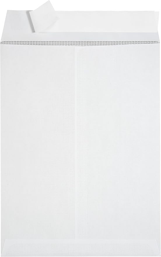 250 6 X 9 Self Seal Security Catalog Envelopes, Designed for Secure Mailing, Securely Holds Small Booklets, Catalogs, Cards, or Brochures with Strong Peel and Seal Flap, 250 Envelopes