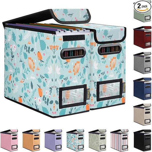 BALEINE File Organizer Box with Lid, Collapsible File Folder Organizer with Plastic Slide, Hanging File Folder Box for Office Document Storage (2 Pack, Spring Stroll, S)