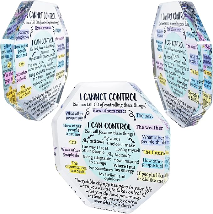 Ewong Things I Can Control Mental Health Decor, Acrylic Sign for Therapist Office, School Counselor, Psychologist Room Art Decoration, Therapy Desk Plaque for Bedroom Classroom (Octagon-Light cyan)