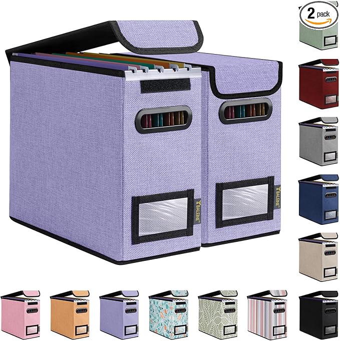 BALEINE File Organizer Box with Lid, Collapsible File Folder Organizer with Plastic Slide, Hanging File Folder Box for Office Document Storage (2 Pack, Purple, S)