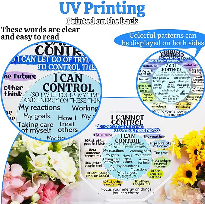 Ewong Things I Can Control Mental Health Decor, Acrylic Sign for Therapist Office, School Counselor, Psychologist Room Art Decoration, Therapy Desk Plaque for Bedroom Classroom (Octagon-Blue)