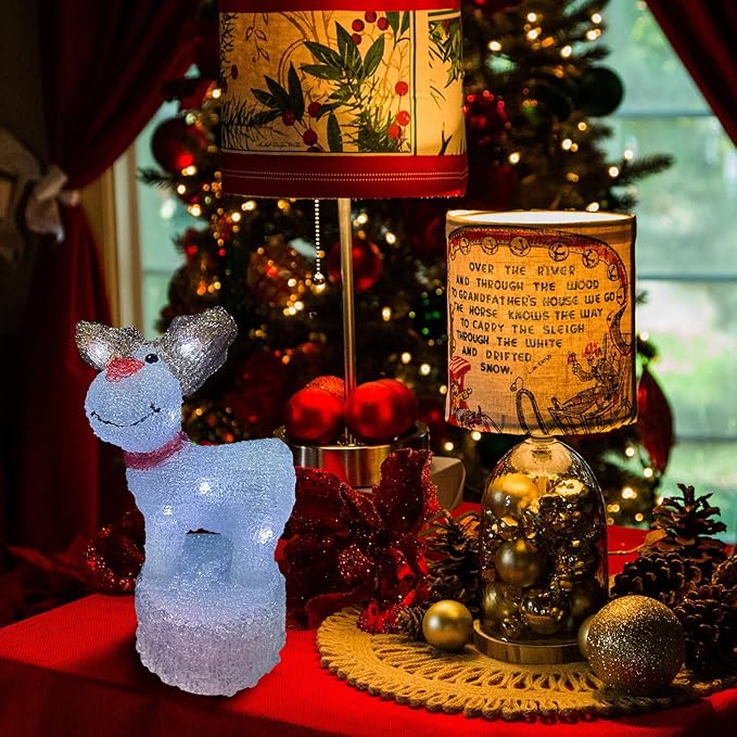 Anycosy Christmas Lighted Acrylic Deer Decoration,Rotating Battery Operated Lights for Indoor Use,Perfect for Tabletop, Windowsill, Mantel, and Bedroom
