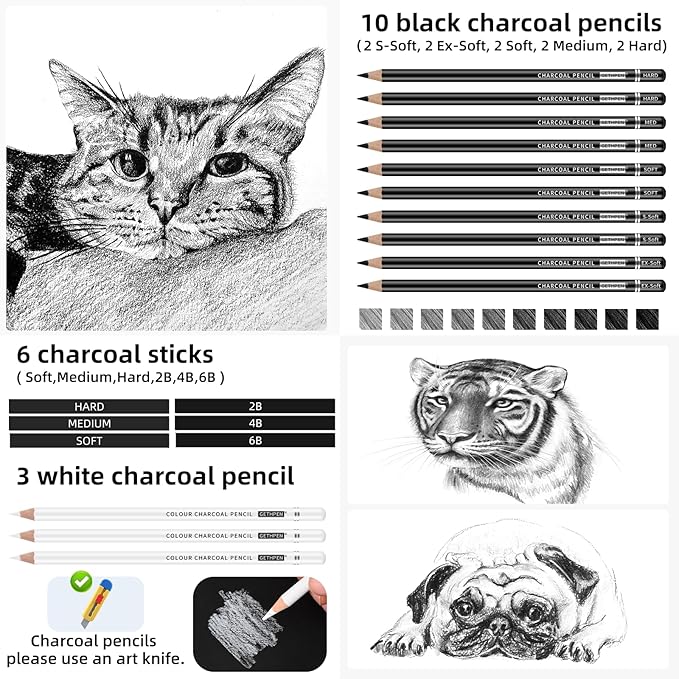 27 Piece Charcoal Drawing Set - Professional Black & White Charcoal Pencils for Sketching, Shading & Blending, Graphite Sticks with Artist Art Supplies Kit (Beginners & Professionals)
