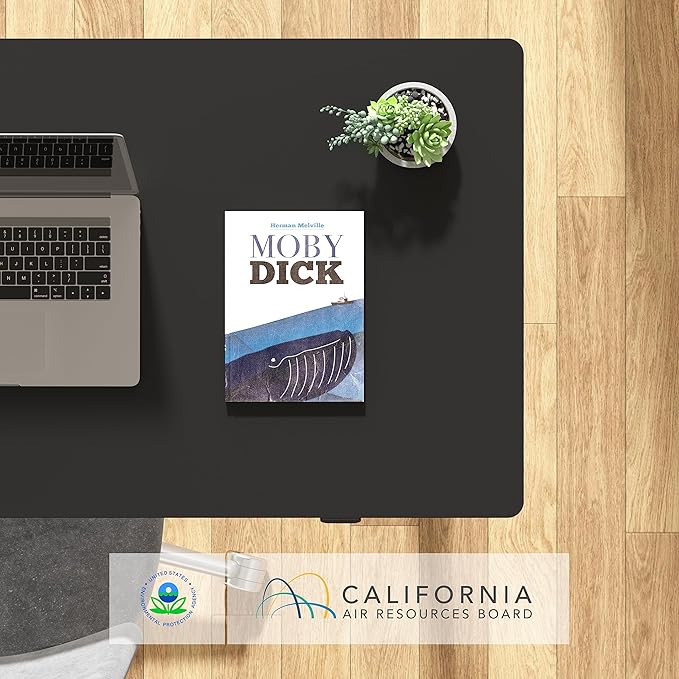 FLEXISPOT EN1 One-Piece Standing Desk, 40 x 24 Inches Small Adjustable Height Desk for Small Space Electric Sit Stand Home Office Table Computer Workstation (Black Frame + Black Desktop)