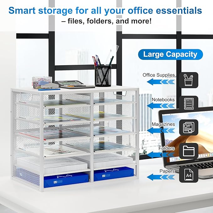 Mail Sorter for Desk, Countertop Literature Organizer, Student Mailbox for Classroom, Desktop Bill Paper Holder Rack for Office Home School, 12 Compartments, White