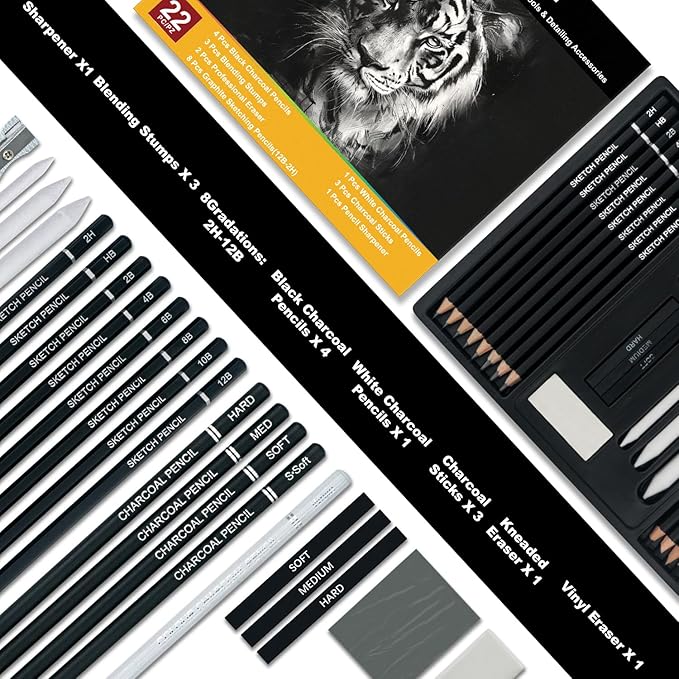Charcoal Pencils for Drawing, Set of 22, Professional Drawing Sketch Pencils, Charcoal Art Supplies for Sketching, Shading, Artist Charcoal Supplies for Beginners & Pro Artists.