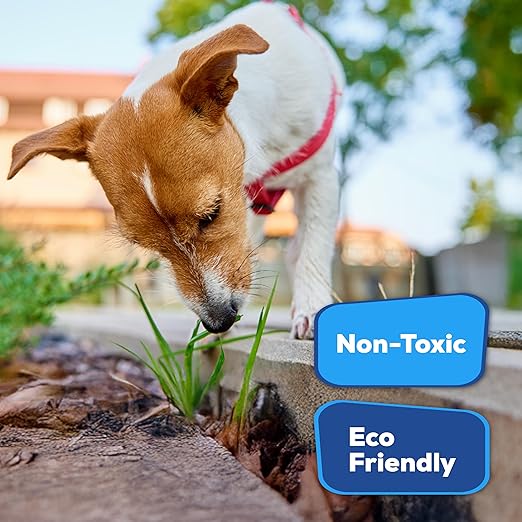 Superclear TerraLock Mulch Glue for Landscaping, 5 Gallon Rock Glue. Easy Spray, Easy Hold. Perfect for Mulch, Pea Gravel Large & Small, Rock, Straw and Stone, Pega para Piedras de Jardin