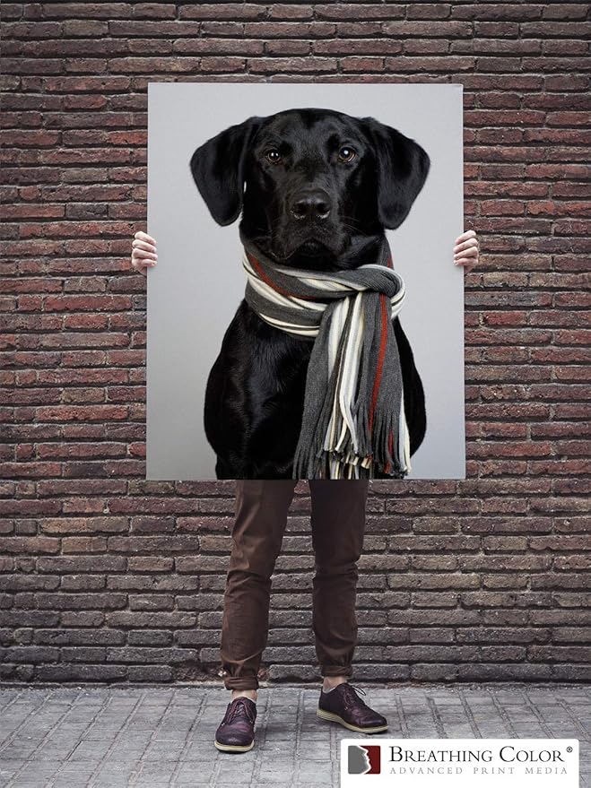 Premium Lyve Matte Canvas Paper Perfect For Use on Professional Makes and Models of Epson, Canon and HP printers preferred by Professionals. 19 mil textured Canvas offered in a 17 inch by 40 ft roll